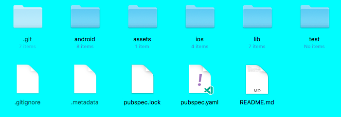 Folder Structure